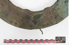 Foto von Bronzebreitrandschale (NHMW-PRAE-025899)